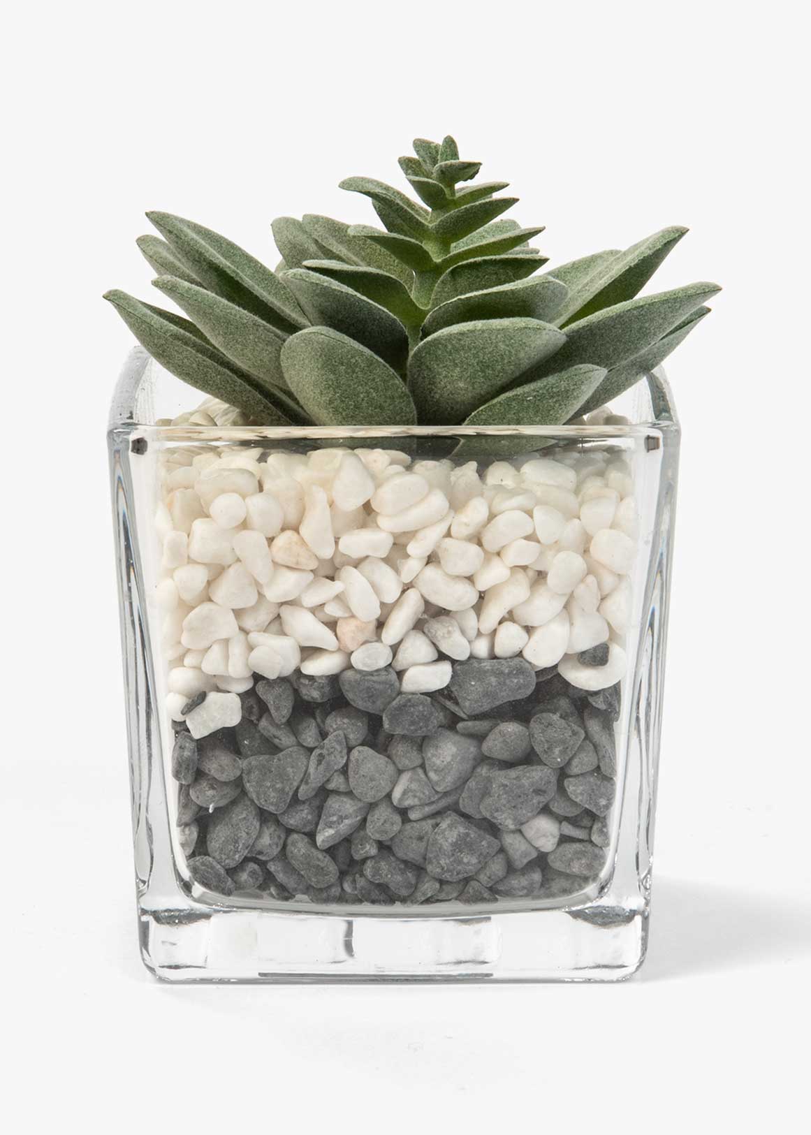 Artificial Succulent in Glass Pot | Woolworths.co.za