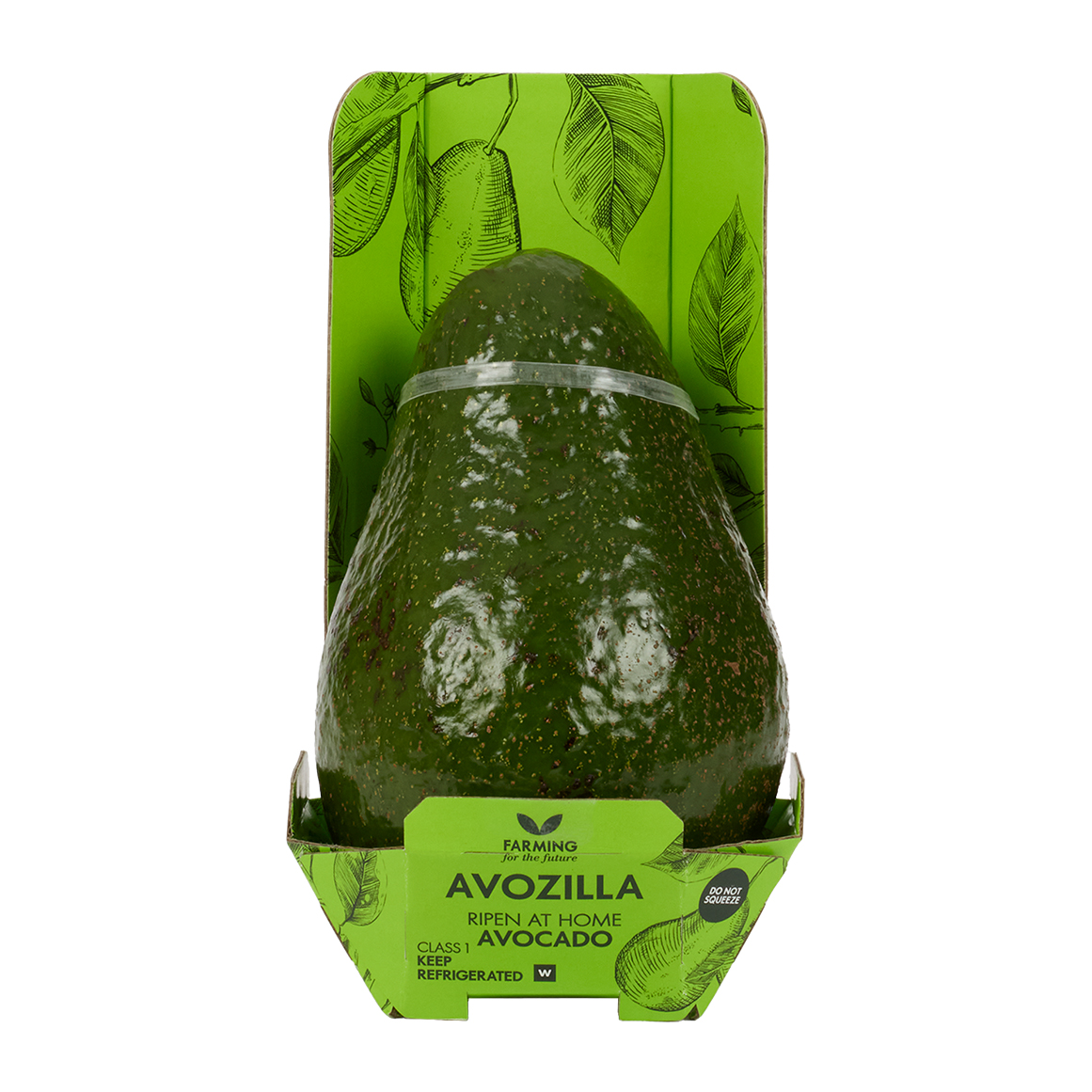 Avozilla Ripen at Home Avocado