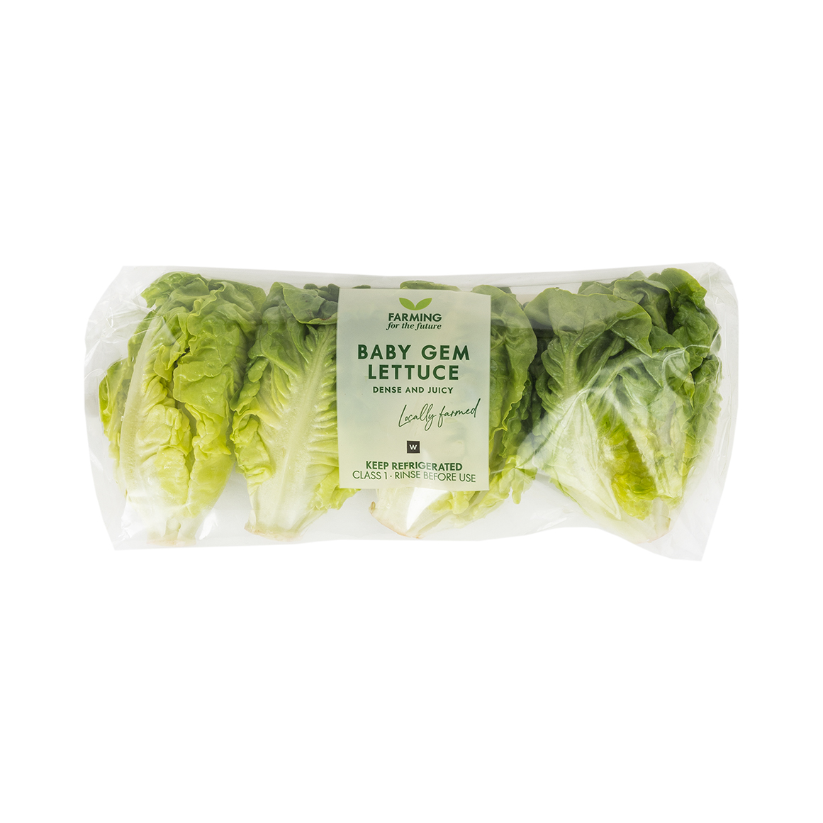 Photo of Baby Gem Lettuce