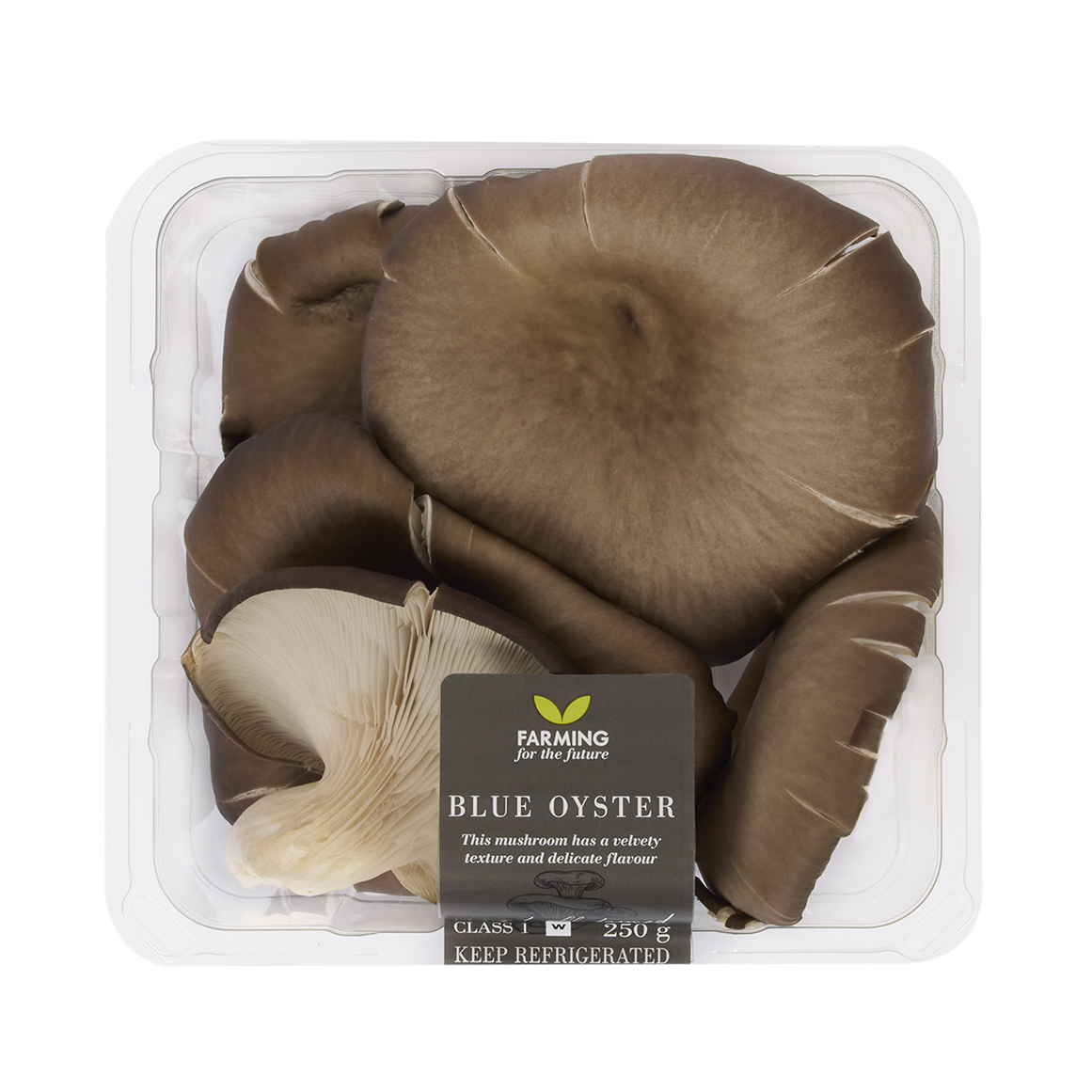 Blue Oyster Mushrooms 250 g