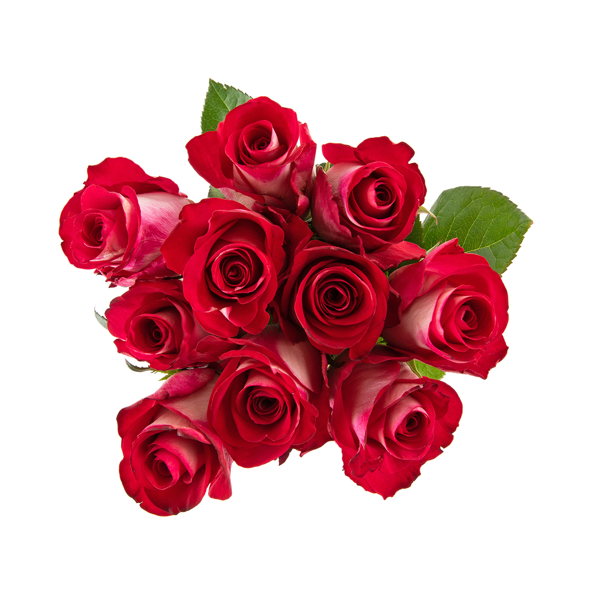 Bluez Speciality Roses 10 Stems | Woolworths.co.za