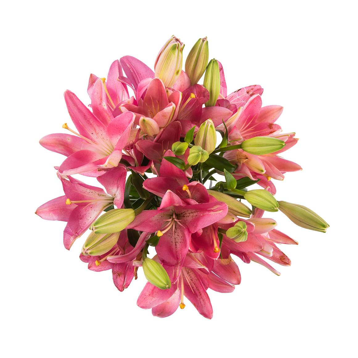 Bulk Asiatic Lilies Woolworths co za bulk-asiatic-lilies-woolworths-co-za