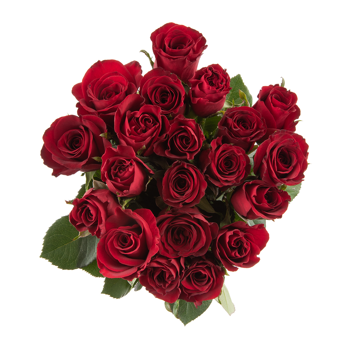 Individual Bulk Roses Bulk Roses 50 cm 20 Stems | Woolworths.co.za