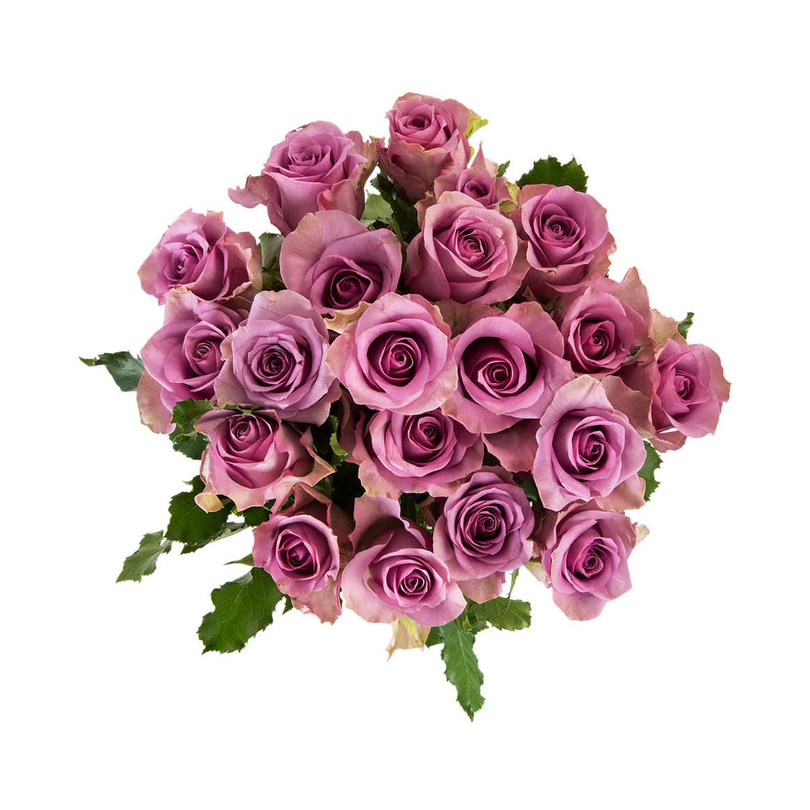 Bulk Roses 50 cm 20 Stems | Woolworths.co.za