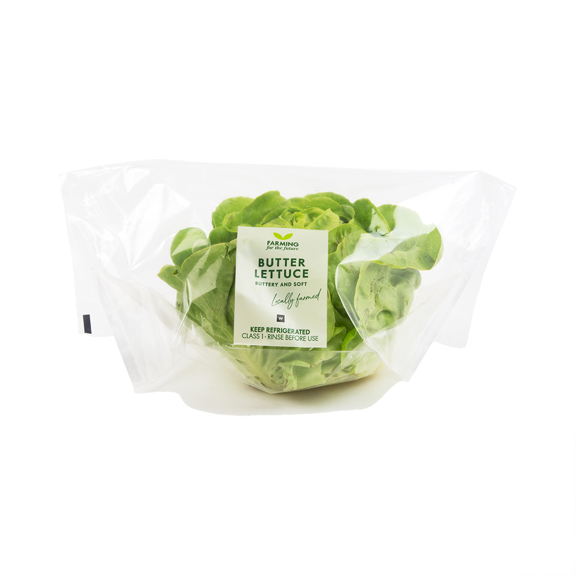Photo of Butter Lettuce