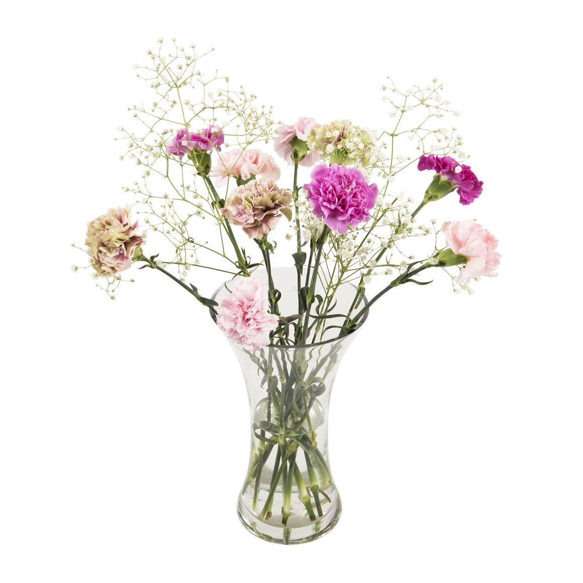 Carnations 10 Stems | Woolworths.co.za