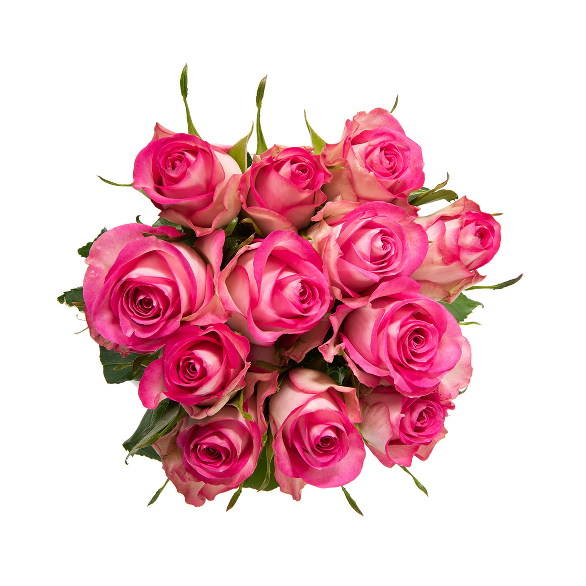 Cerise Roses 12 Stems | Woolworths.co.za
