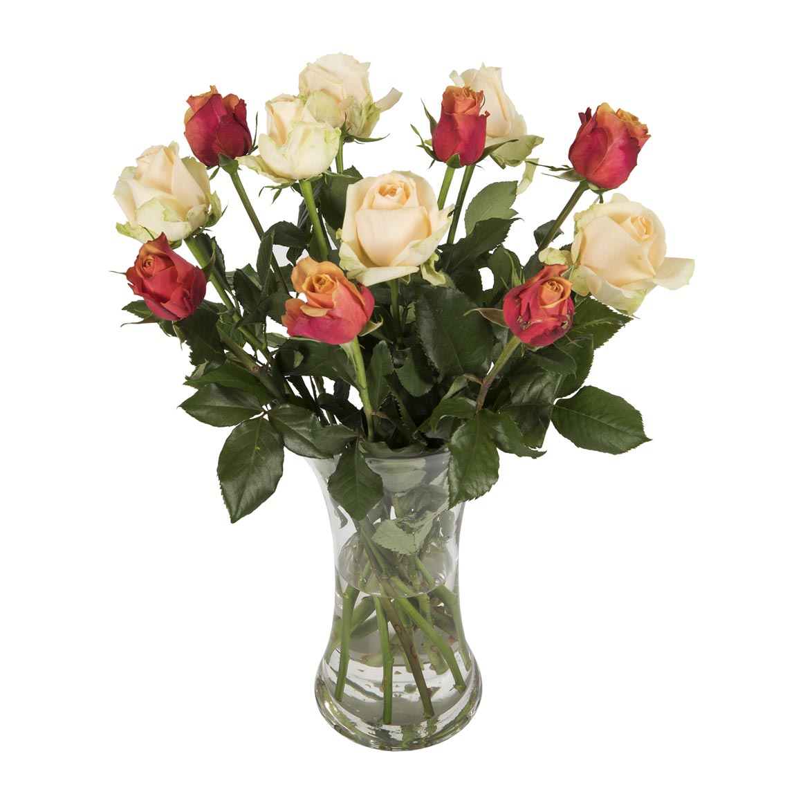 Cherry & Peach Duo Roses 12 Stems | Woolworths.co.za