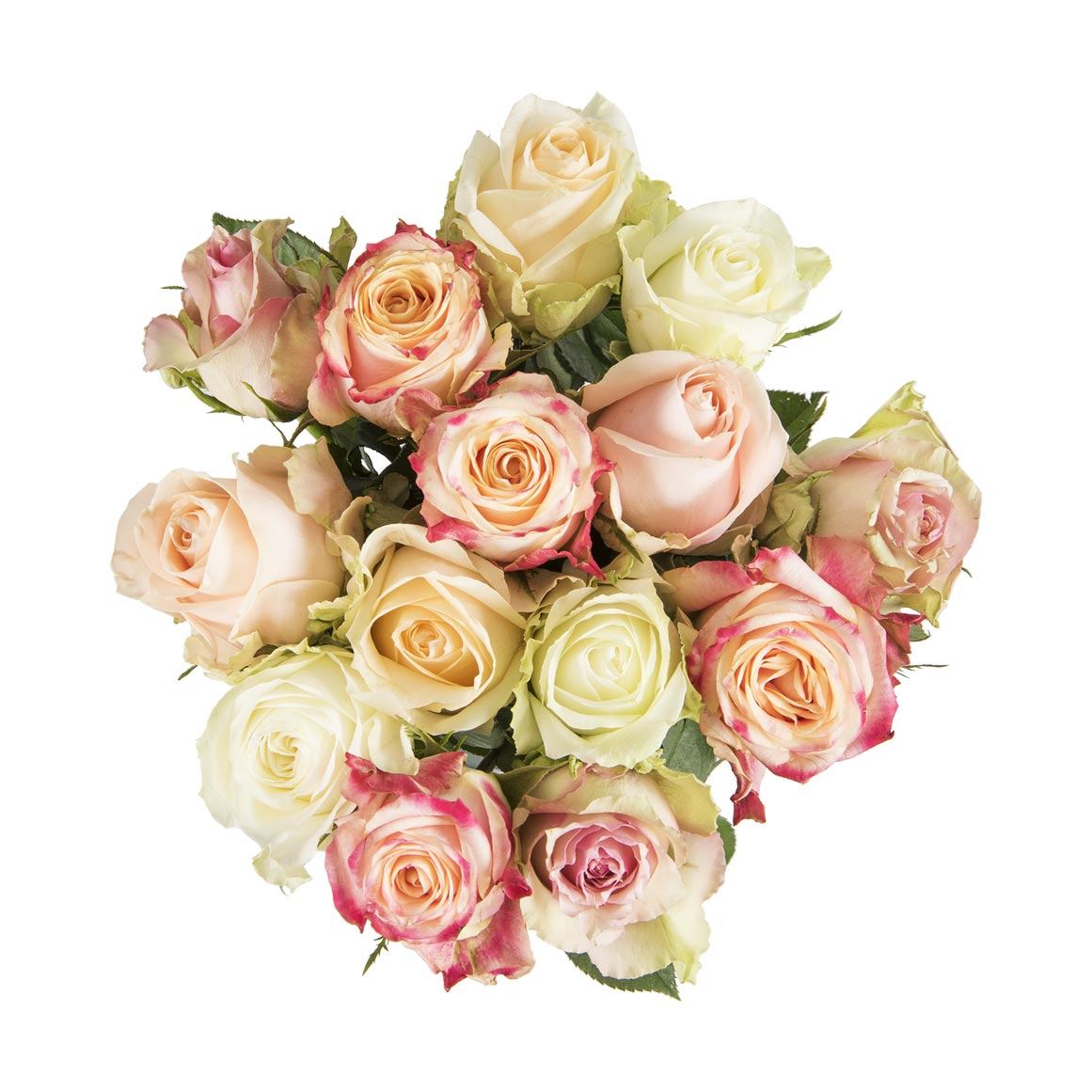 Classic Celebration Roses 15 Stems | Woolworths.co.za