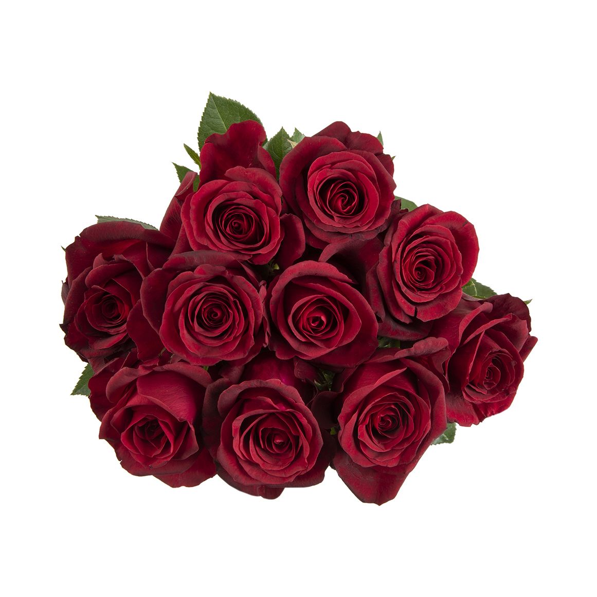 Classic Red Speciality Roses | Woolworths.co.za