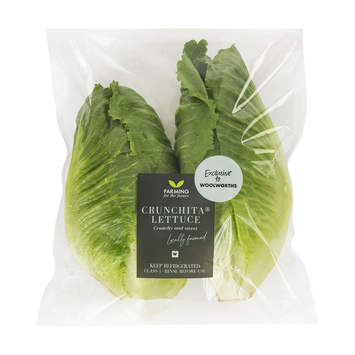 Photo of Crunchita® Lettuce