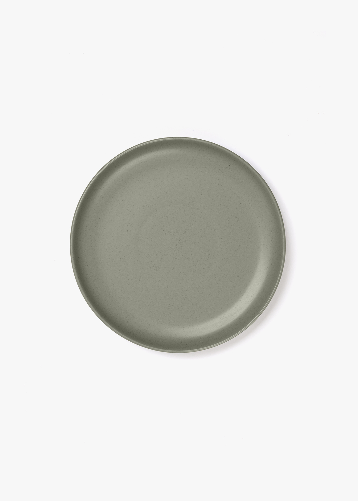 Dinner Plate