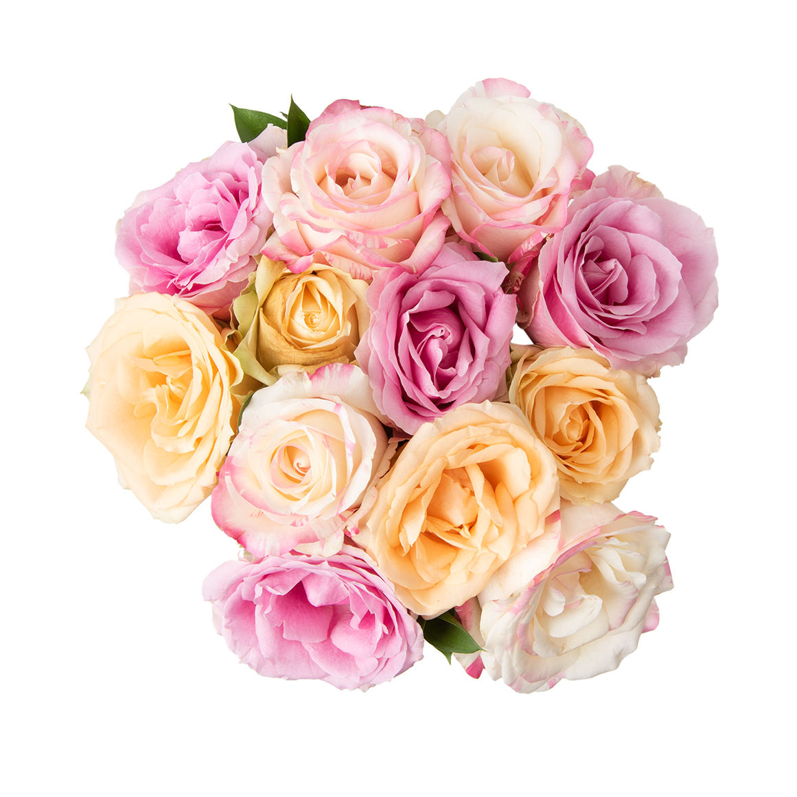 Duo Speciality Roses | Woolworths.co.za