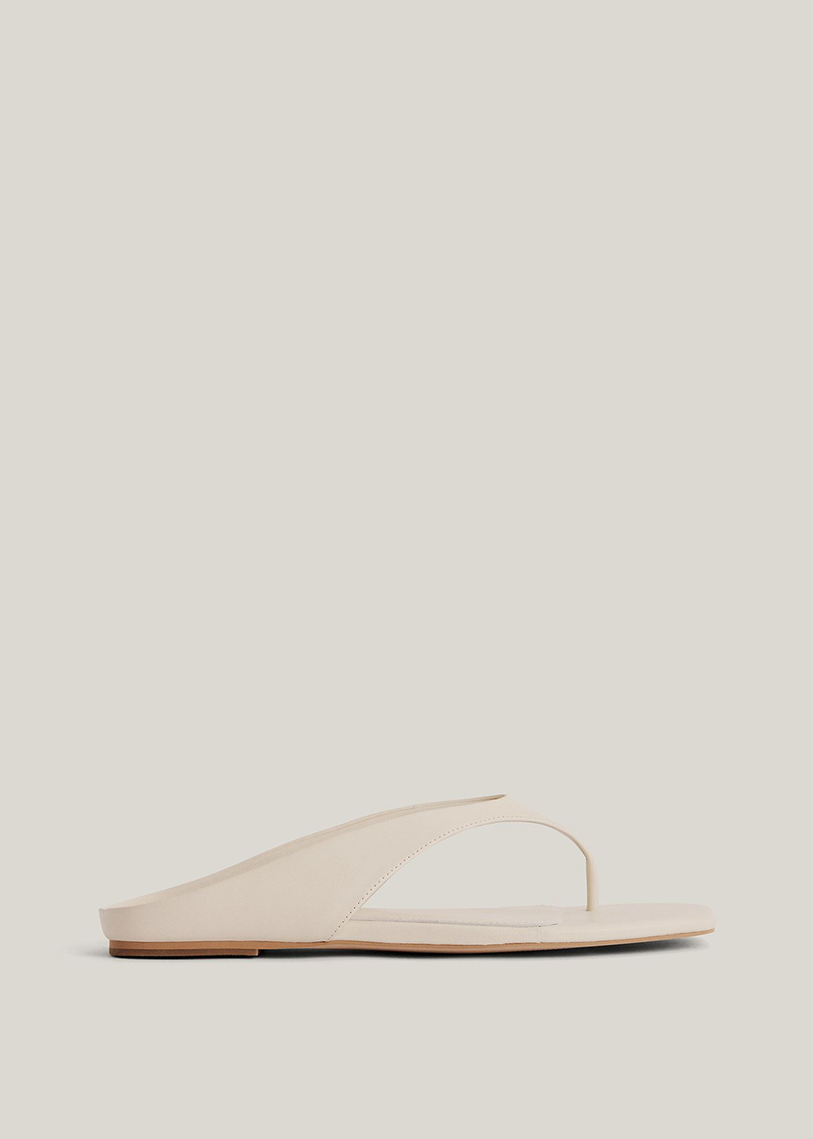 Elana Slides