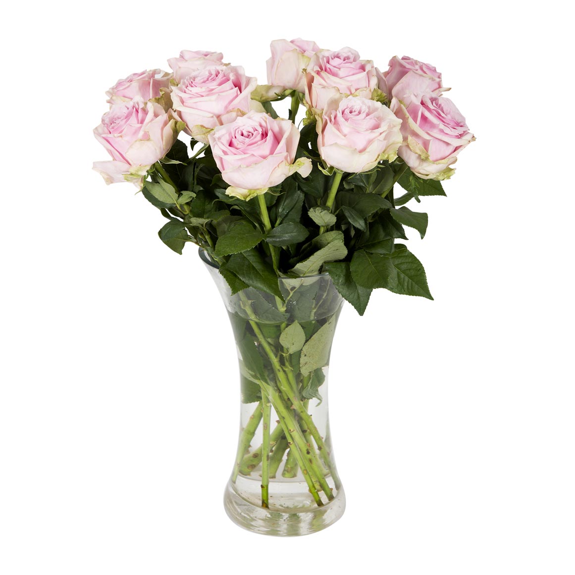 Glam Girl Roses 50cm | Woolworths.co.za