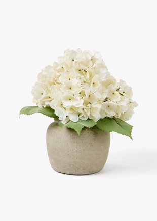 Vases, Planters & Plants