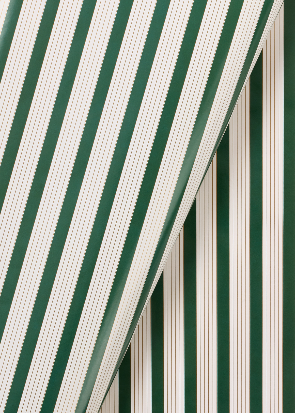 Meadow Gift Wrap 1 m x 700 mm