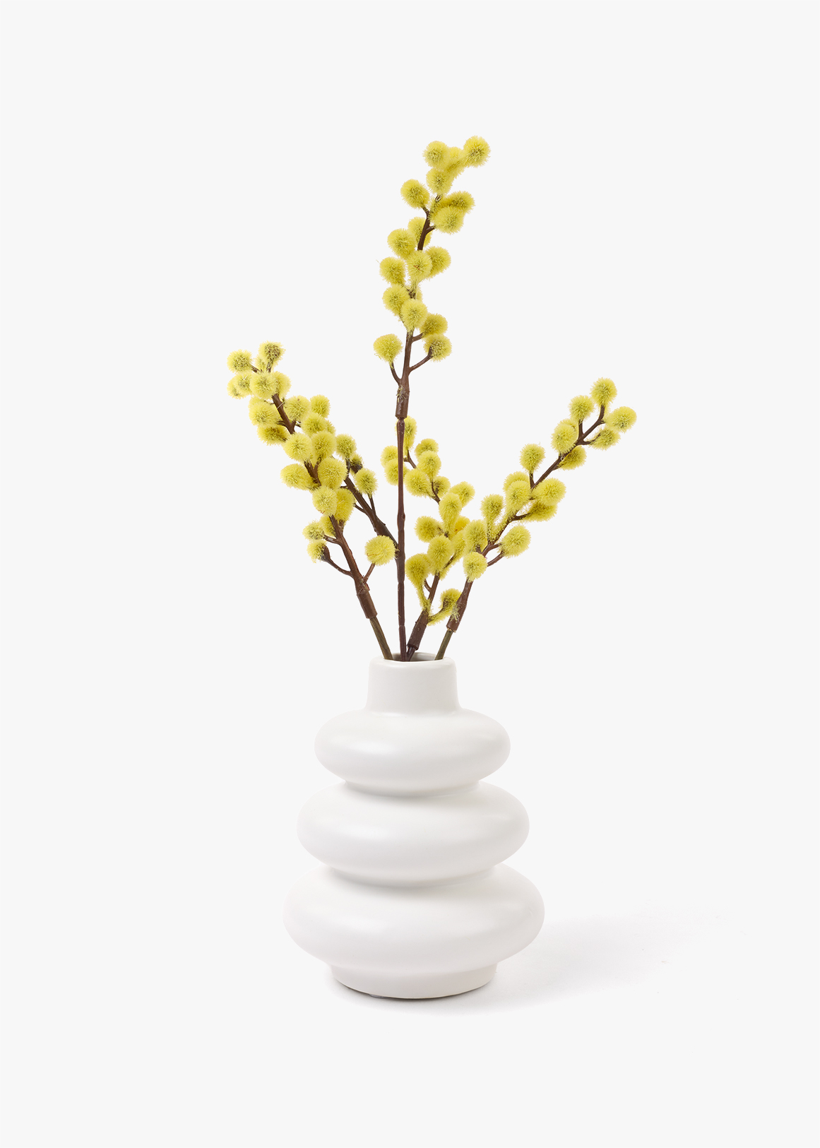 Mini Mimosa in Tiered Ceramic Pot