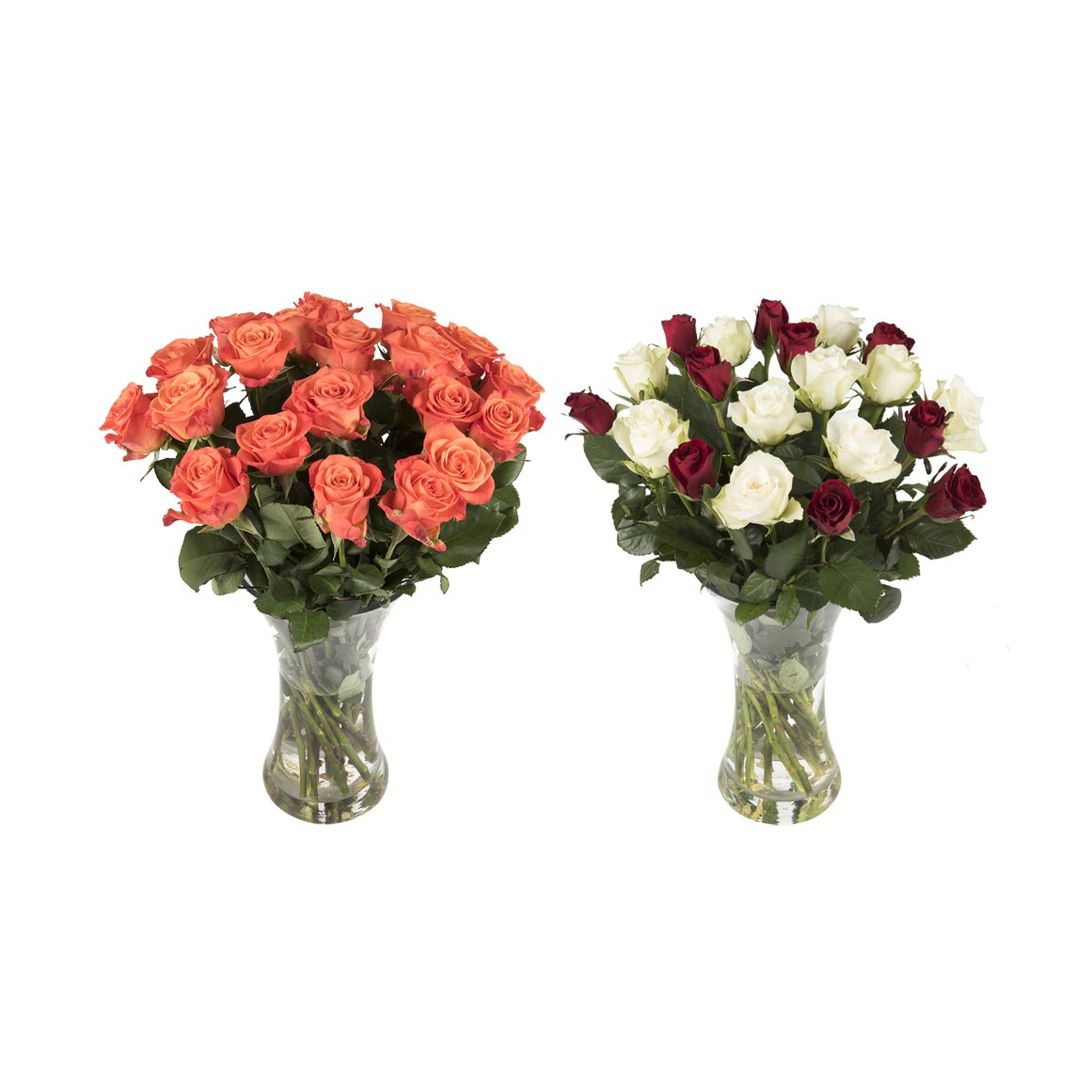 Woolf Roses Mixed Bulk Roses 50cm 20 Stems | Woolworths.co.za