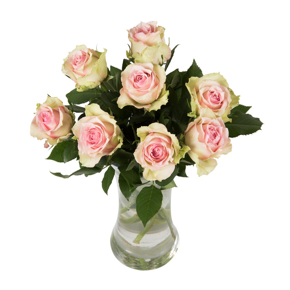 Roses 8 Roses Pastel Speciality Roses 8 Stems | Woolworths.co.za