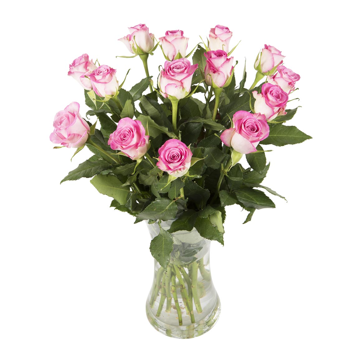 Pink Roses 50cm 14 Stems | Woolworths.co.za