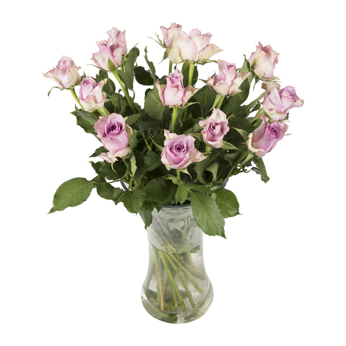 Purple Roses 50cm 14 Stems Woolworths.co.za