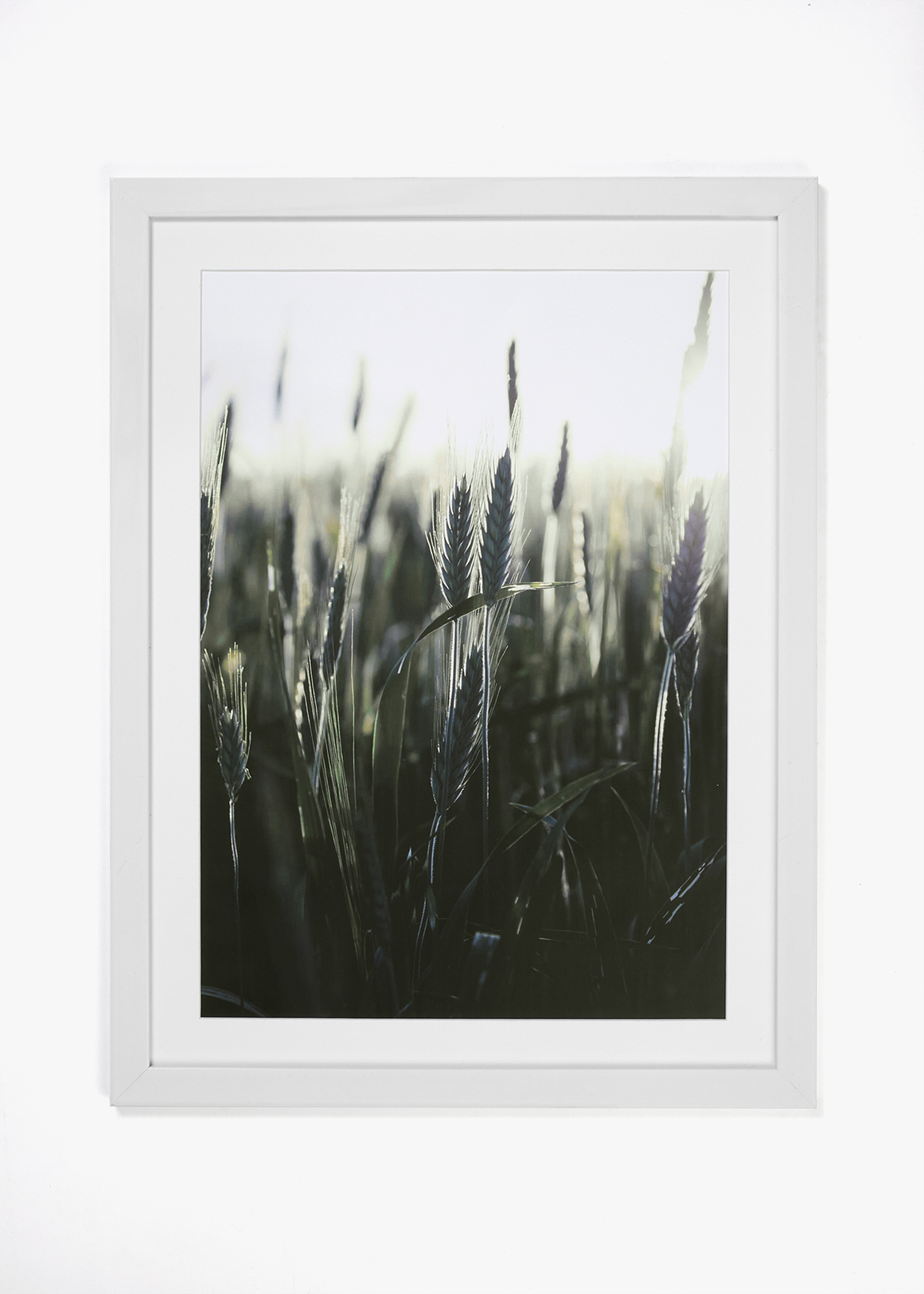 Recycled Photo Frame A2
