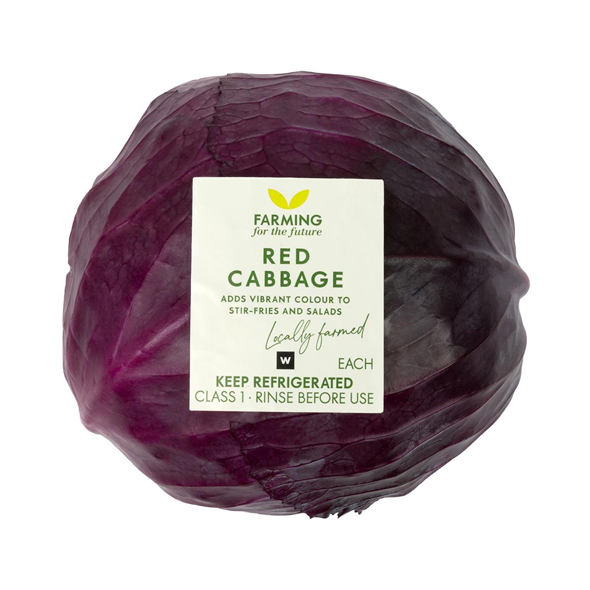 Red Cabbage