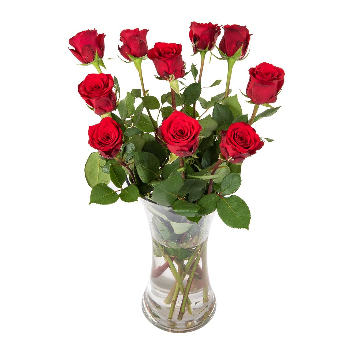 Red Roses Bouquet (10 Stems) - Dough and Cream