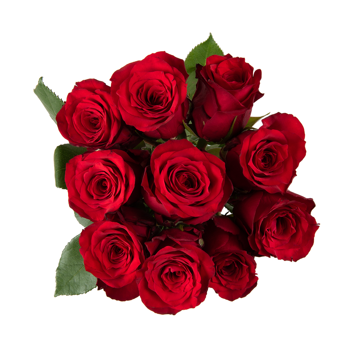 Red Speciality Roses 10 Stems Woolworths co za