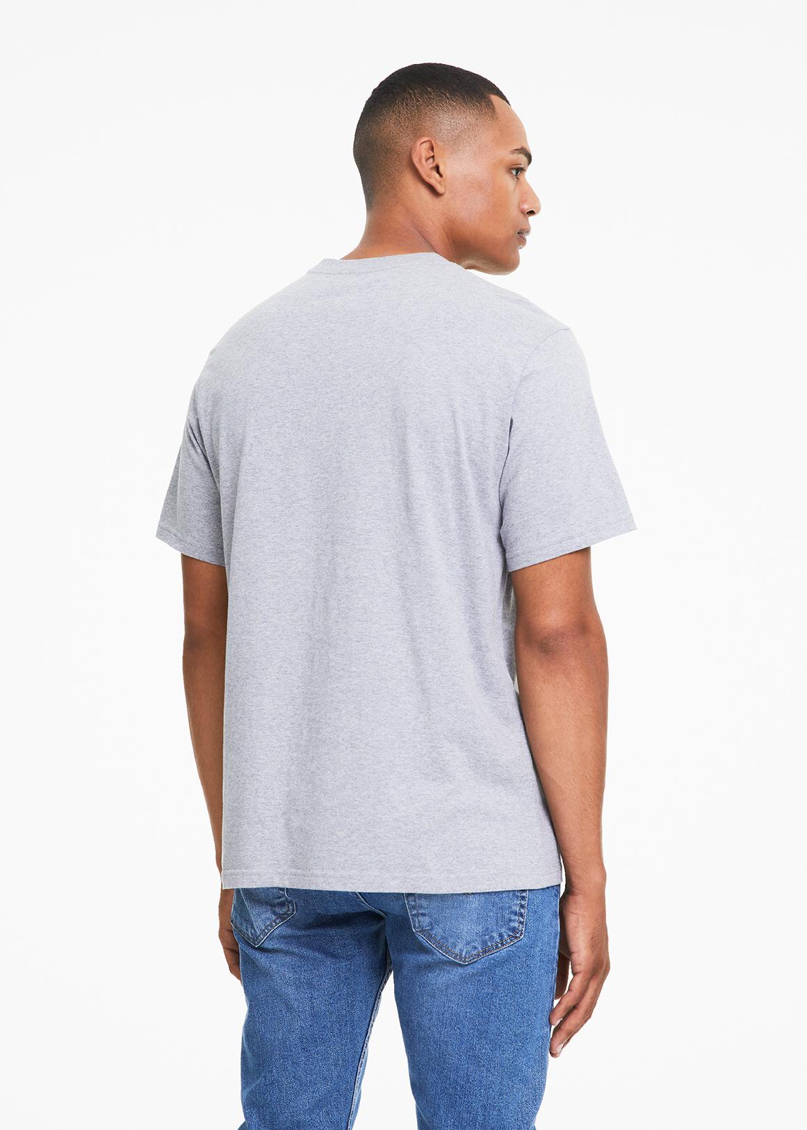 Relaxed Fit Short Sleeve Graphic T-shirt - Grey