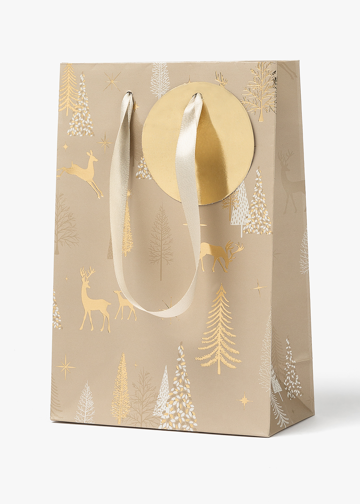 Rich Metallics Small Gift Bag | Woolworths.co.za