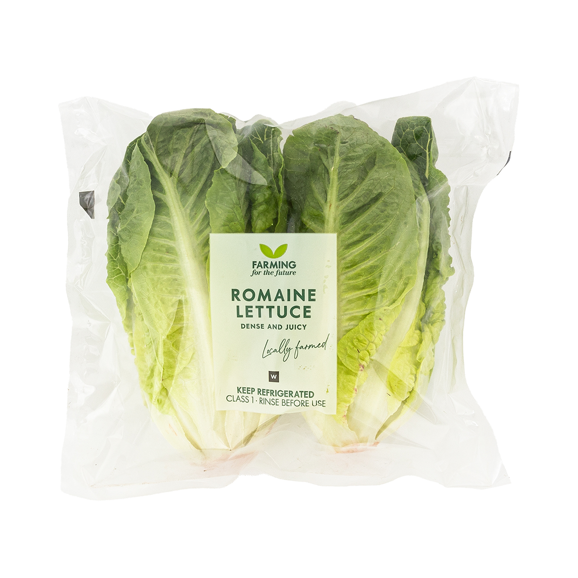 Photo of Romaine Lettuce Hearts