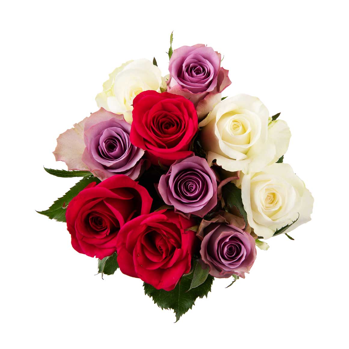 Rose Selection | Woolworths.co.za