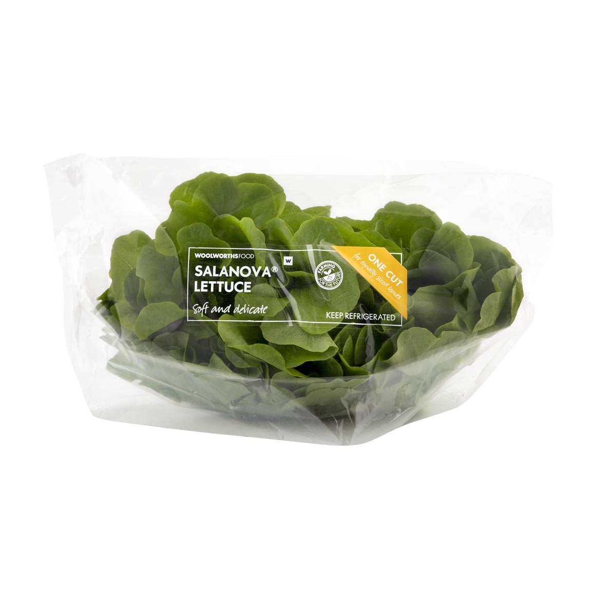 Salanova® Lettuce | Woolworths.co.za