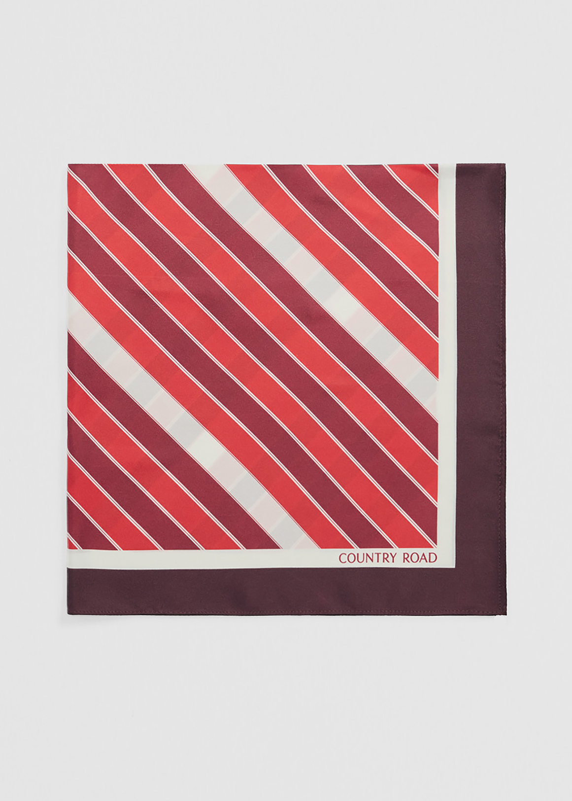 Silk Print Scarf
