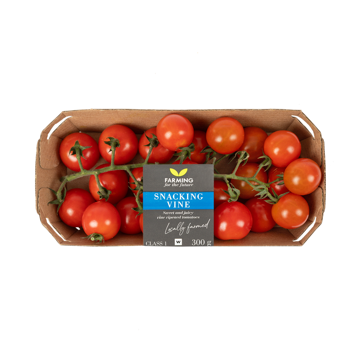Snacking Vine Tomatoes 350 g