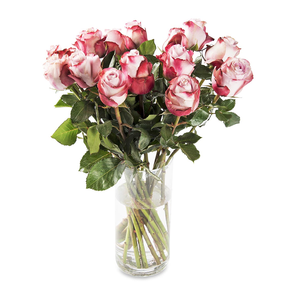 Speciality Pastel Roses | Woolworths.co.za