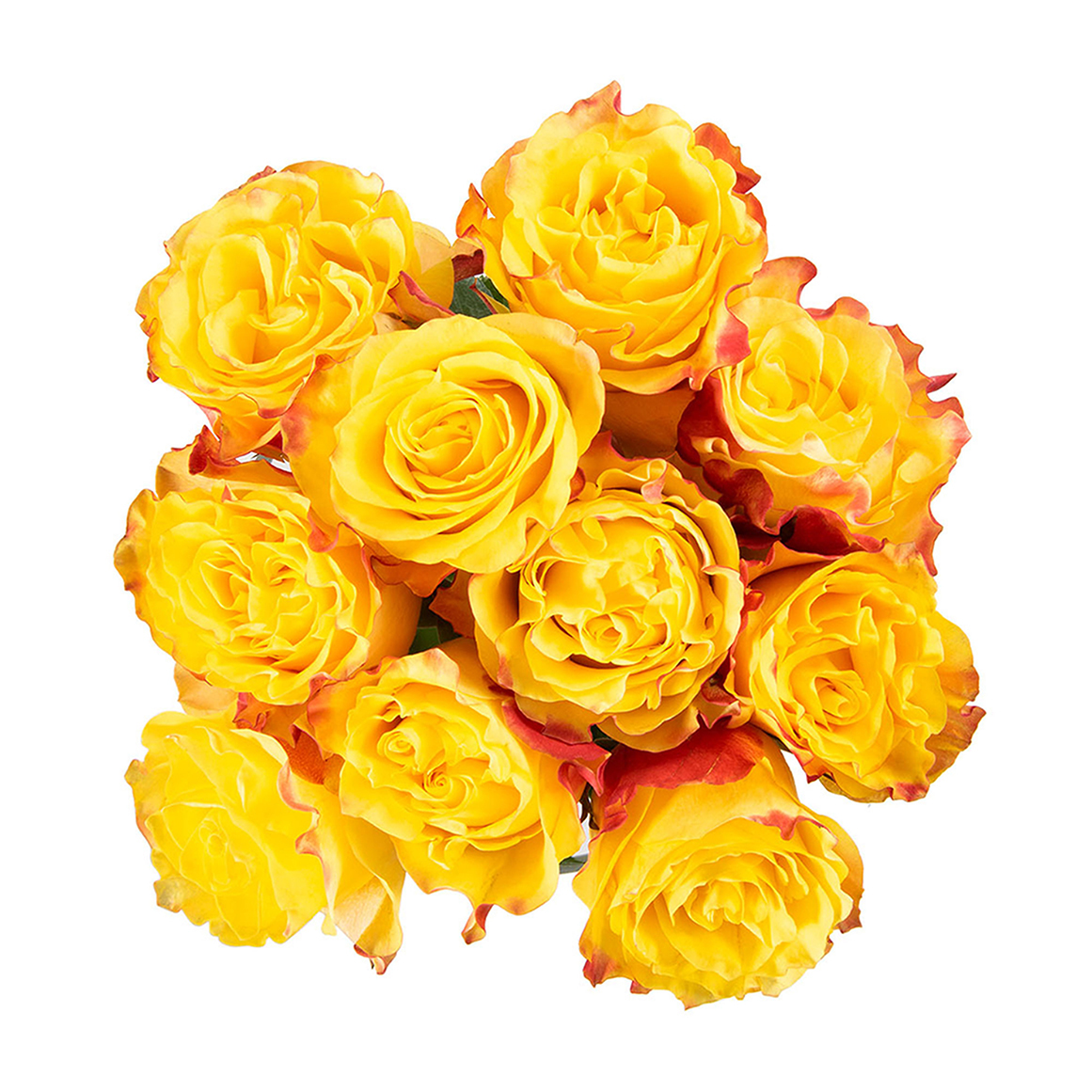 Sunset Expression Speciality Roses | Woolworths.co.za