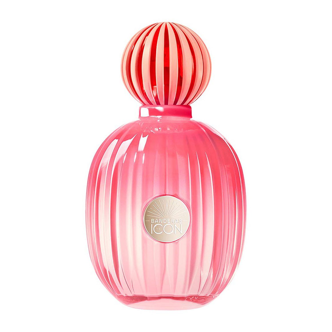 The Icon Splendid Eau de Parfum for Women | Woolworths.co.za