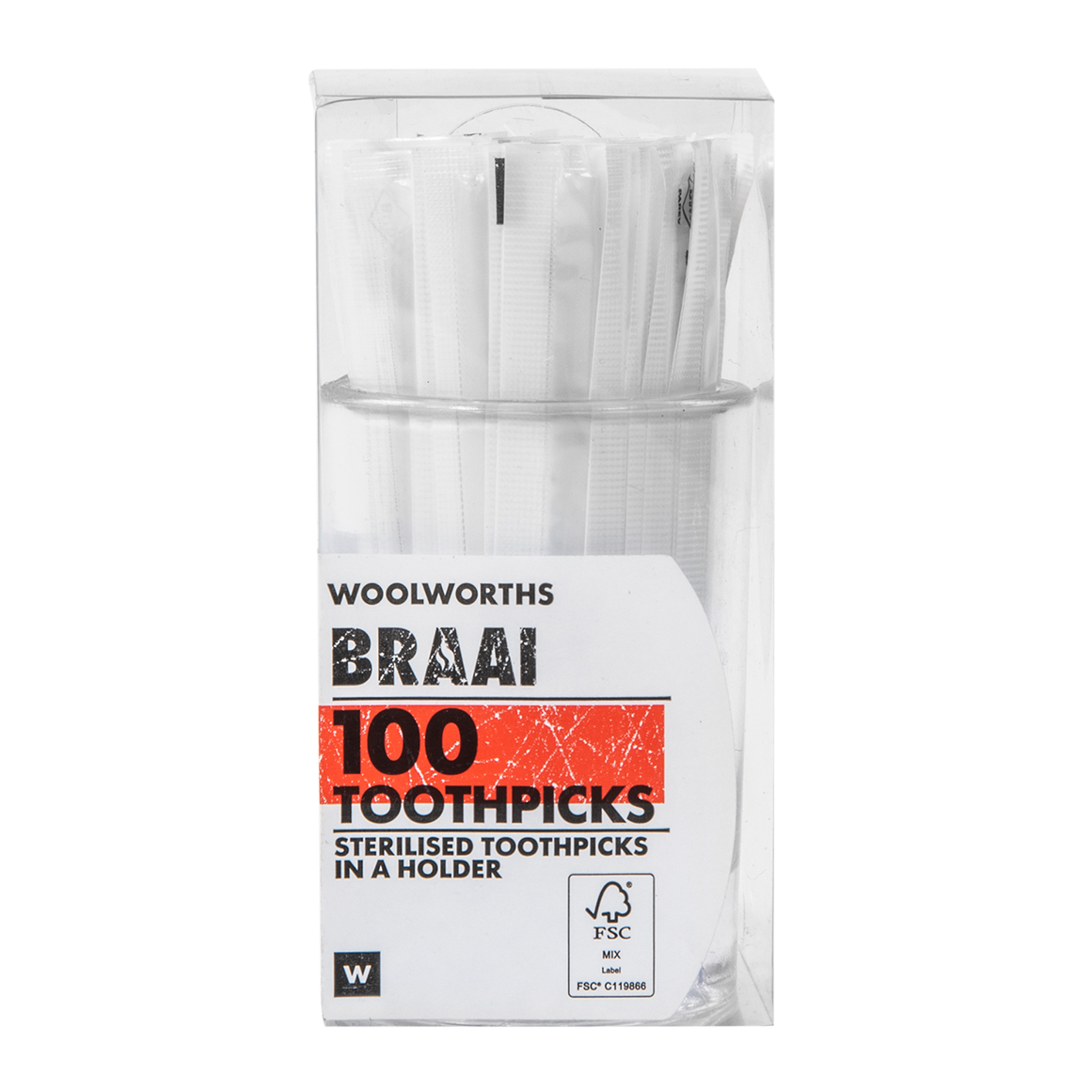 Toothpicks with Holder 100 Pcs