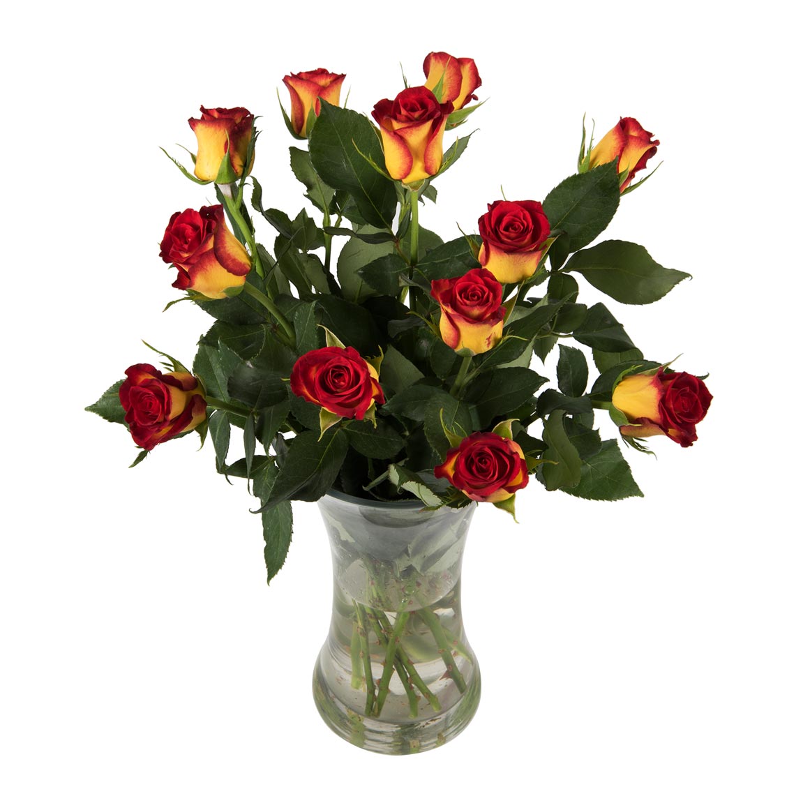 Woolf Roses Two Tone Roses 12 Stems | Woolworths.co.za