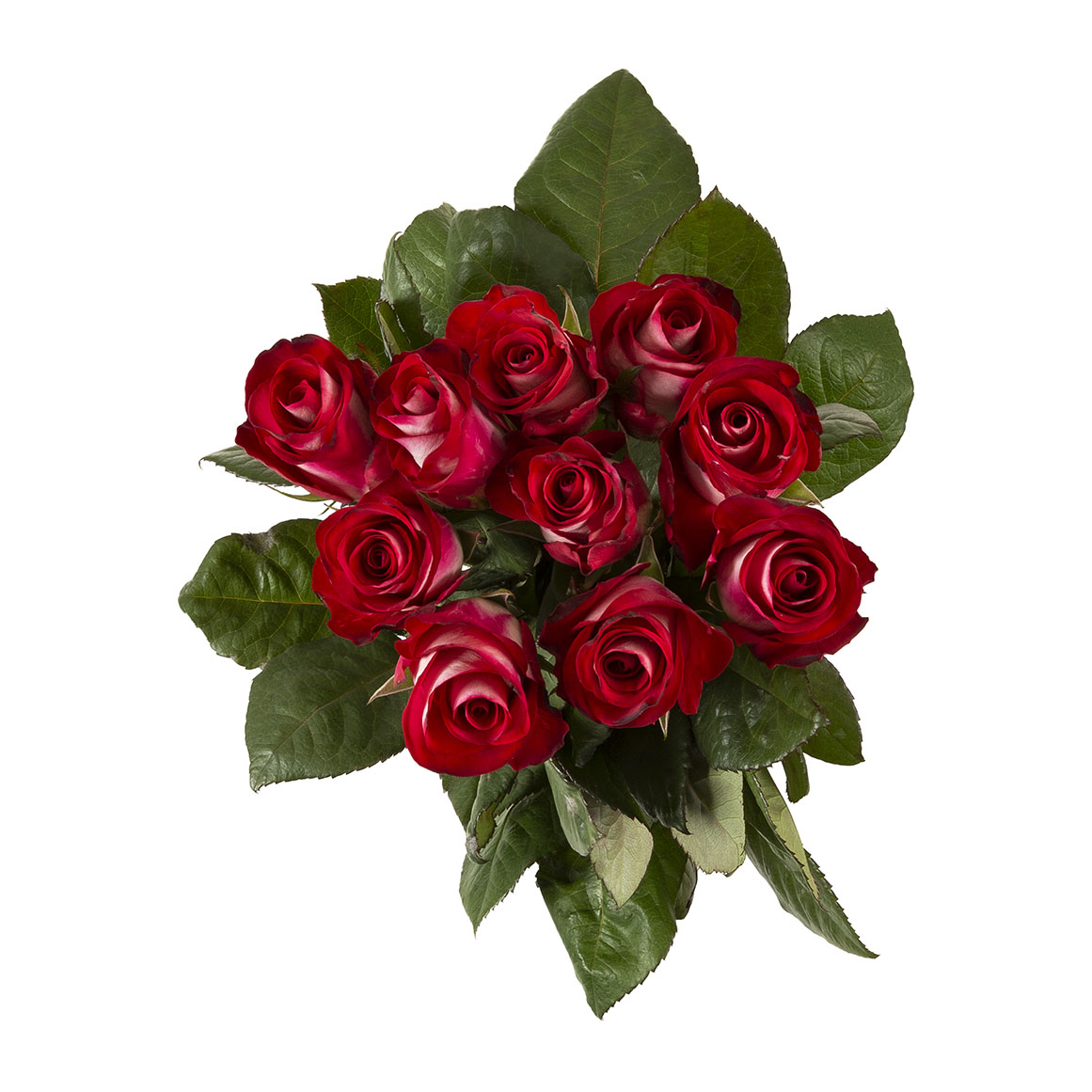 Two Tone Roses | Woolworths.co.za