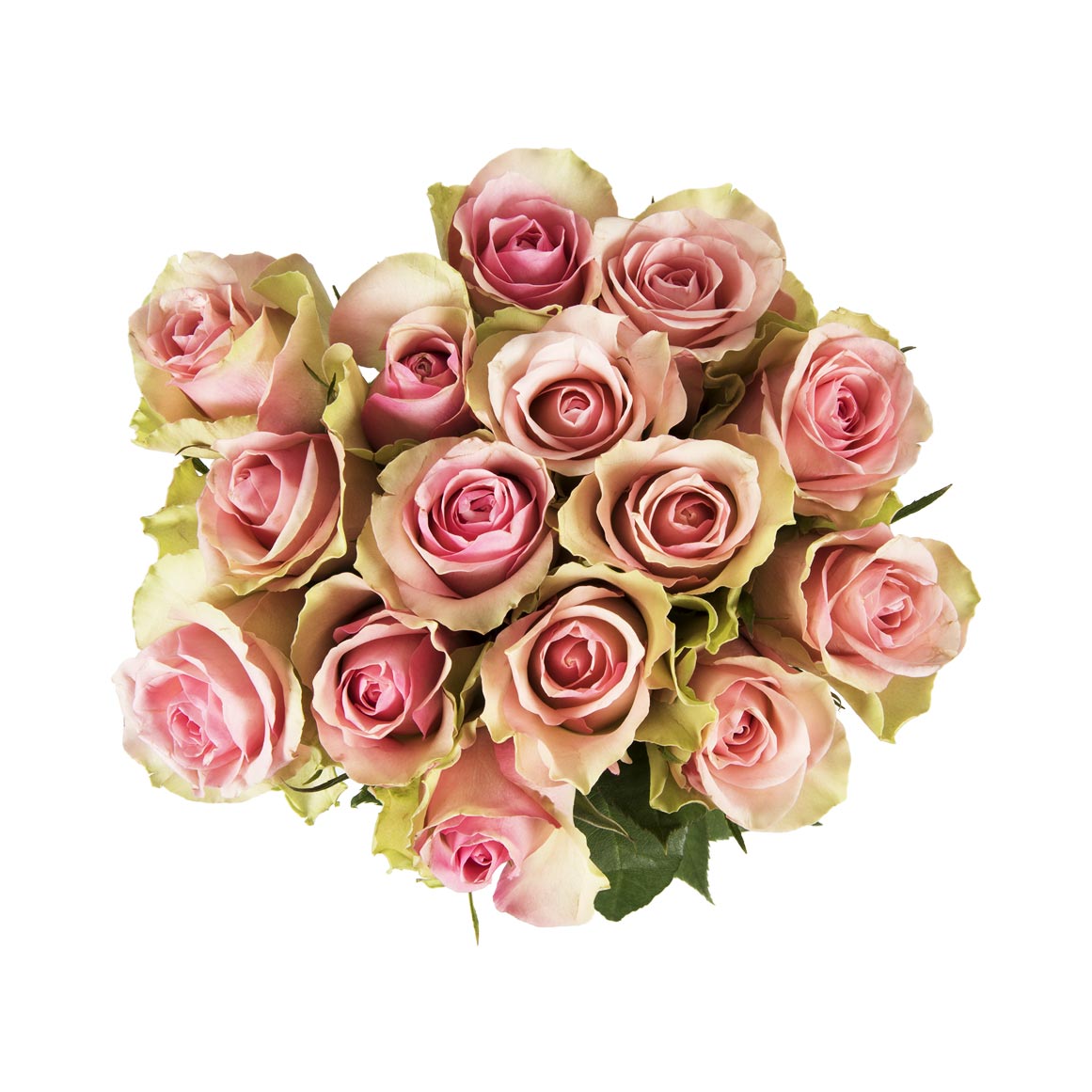 Value Speciality Roses 15 Stems Woolworths.co.za