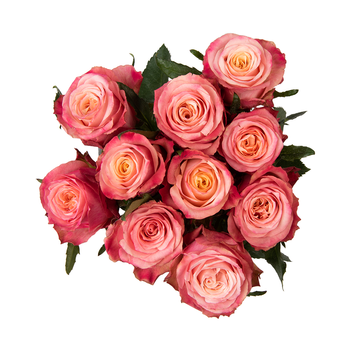 Pink Roses Woolies Vintage Berry Speciality Roses | Woolworths.co.za