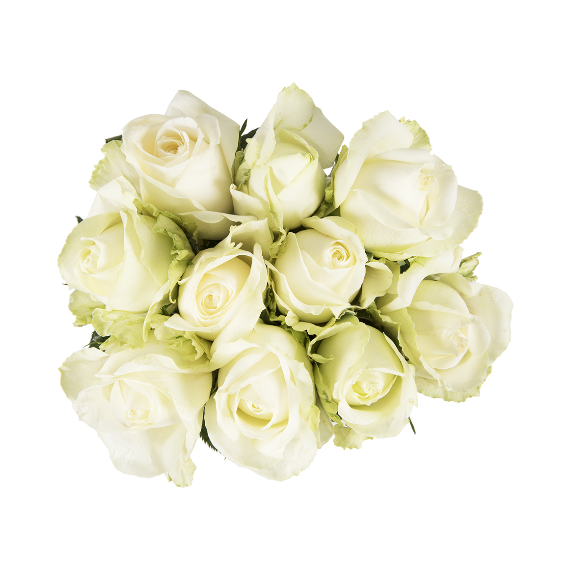 White 4 Roses How Much Are White Roses At Woolworths at Johanna Reed blog