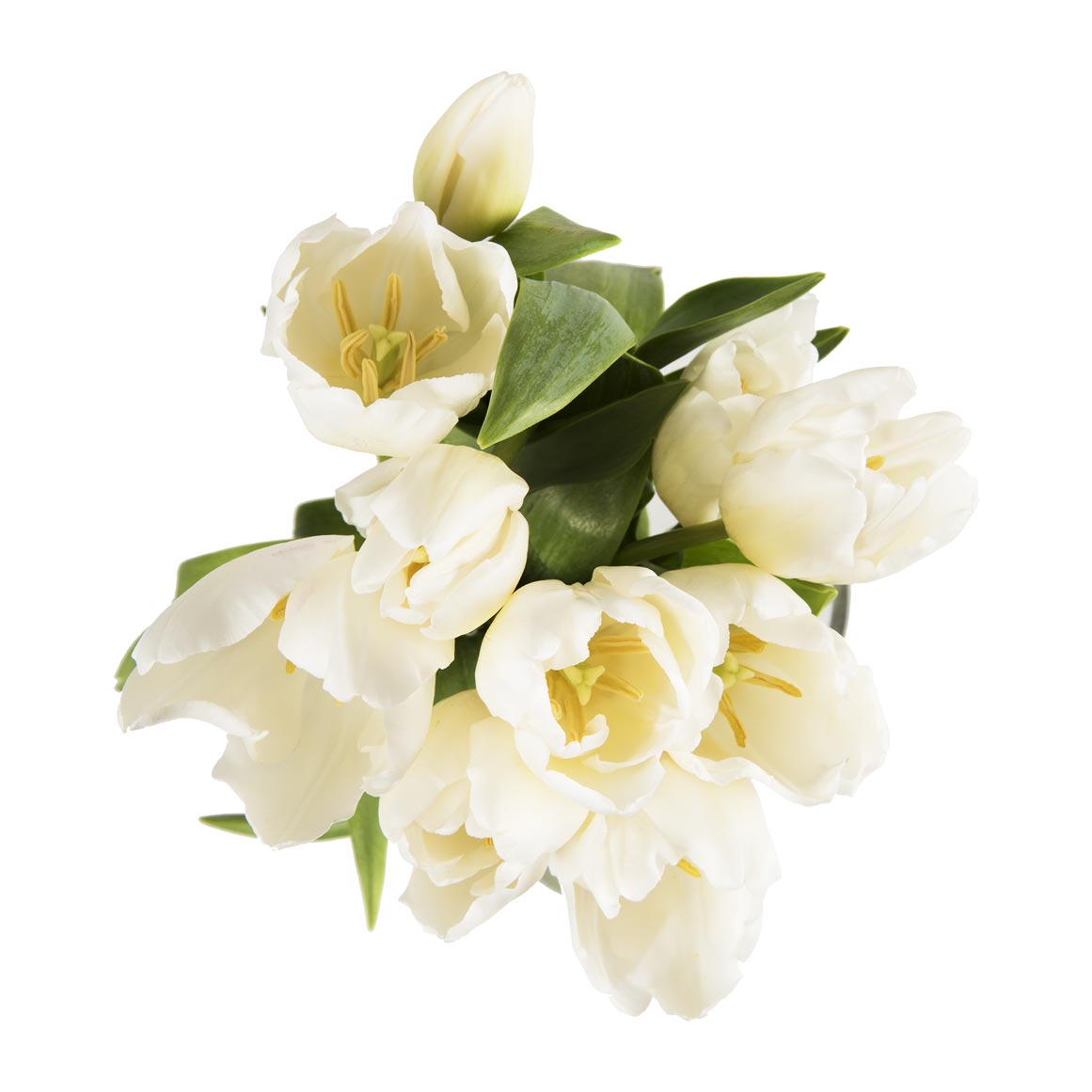 White Tulips | Woolworths.co.za