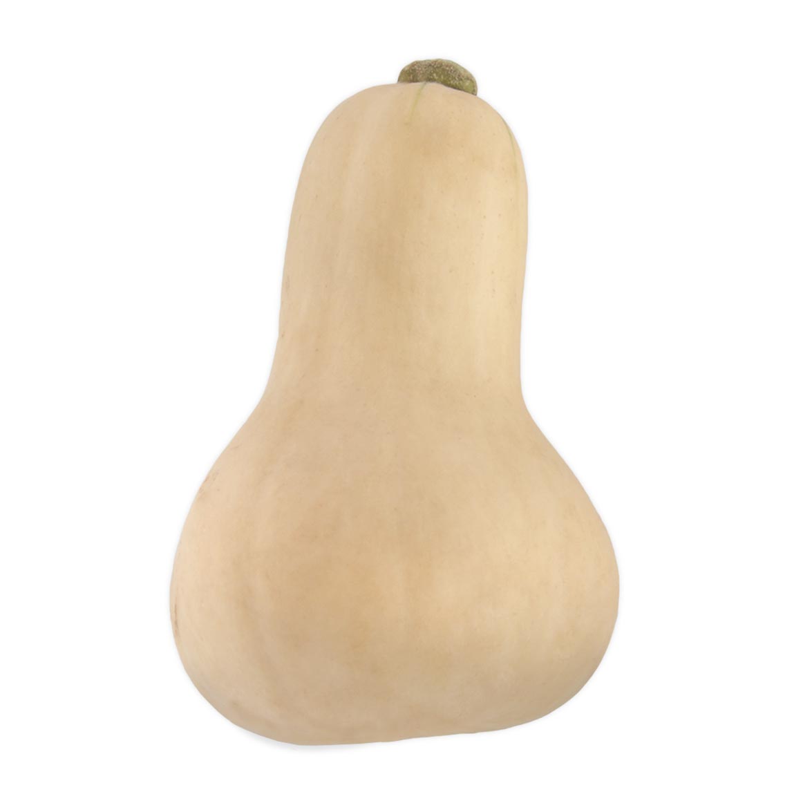 Whole Organic Butternut Avg 1.5 kg | Woolworths.co.za