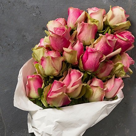 Caring for your cut roses 